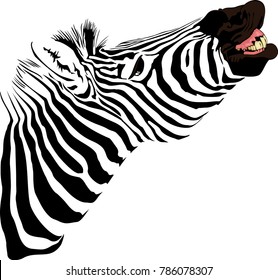 vector illustration of abstract Zebra showing teeth