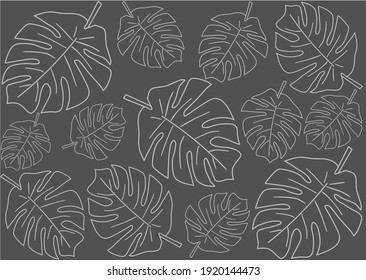 Vector illustration abstraction of contour leaves on a gray background