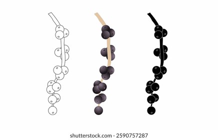 Vector illustration of an acai berry branch in black and white, silhouette, and color. Perfect for botanical designs, health products, and organic food branding.