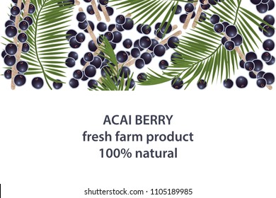 vector illustration of acai berry and leaf design background white and berry and text fresh farm product 100% natural EPS10