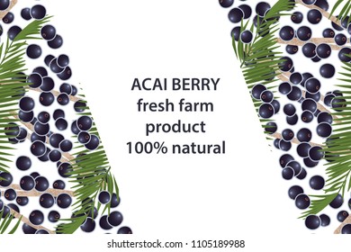 vector illustration of acai berry and leaf design background white and berry and text fresh farm product 100% natural EPS10