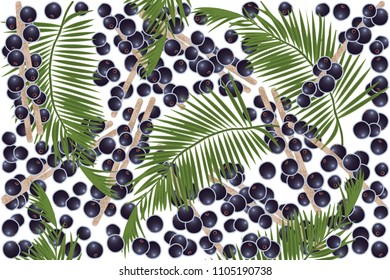 vector illustration of acai berry and leaf design background white and berry EPS10