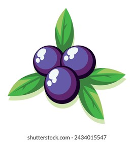 Vector illustration of Acai fruit in graphic style. Editable artwork.