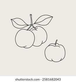 Vector illustration of Acerola tree fruit on isolated background. Hand drawn botanical drawing Malpighia glabra or Barbados cherry. Exotic food, vitamin. Design element for logo, card, label, print