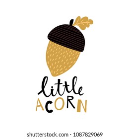 vector illustration of an acorn and hand lettering text