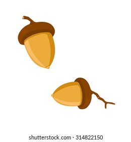 A vector illustration of an acorn.
Acorn icon illustration.
the fruit of the oak tree, smooth oval nut in a rough cap base.