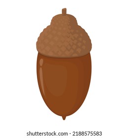 Ilustración vectorial de bellota aislada en el fondo.