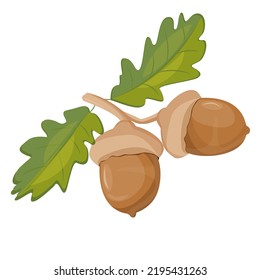 vector illustration of acorn and maple leaf