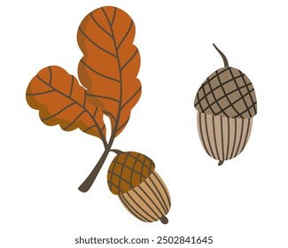 Vector illustration of an acorn and oak leaf in flat style. Elements for autumn design in brown color. Natural floral clipart for cozy compositions on the theme of the harvest festival.