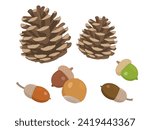 Vector illustration of acorns and pine cones