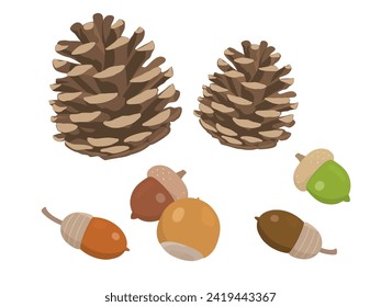 Vector illustration of acorns and pine cones