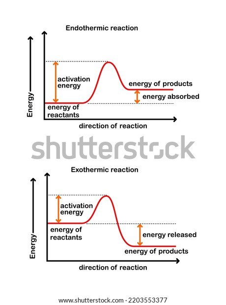 Vector Illustration Activation Energy Endothermic Exothermic Stock ...