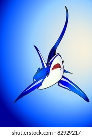 Vector illustration of an active Thresher shark.