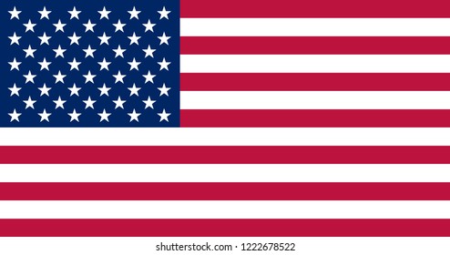 Vector illustration of actual flag of USA