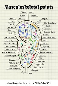 vector illustration acupuncture points on the human ear
