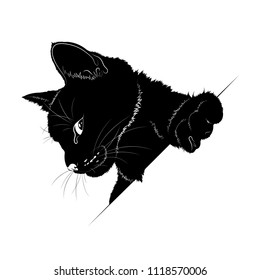 Vector illustration. Ad space. Black silhouette of cat.EPS 8 
