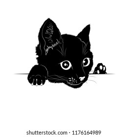 Vector illustration. Ad space. Black silhouette of cat.EPS 8