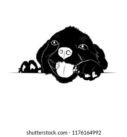Vector illustration. Ad space. Black puppy silhouette.EPS 8