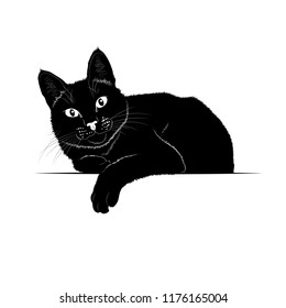 Vector illustration. Ad space. Black silhouette of cat.EPS 8