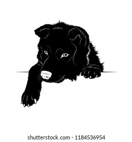 Vector illustration. Ad space. Black silhouette of a dog.EPS 8