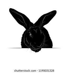 Vector illustration. Ad space. Black silhouette of the rabbit.EPS 8