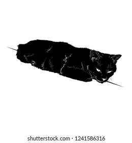 Vector illustration. Ad space. Black silhouette of cat.EPS 8