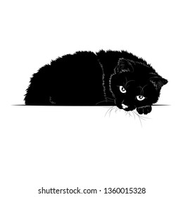 Vector illustration. Ad space. Black silhouette of a recumbent cat.EPS 8