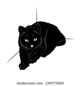 Vector illustration. Ad space. Black silhouette of a domestic cat isolated on white background. EPS 8