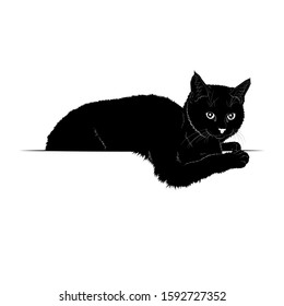 Vector illustration. Ad space. Black silhouette of a domestic cat isolated on white background. EPS 8