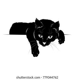 Vector illustration. Ad space. Black silhouette of cat.EPS 8