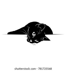 Vector illustration. Ad space. Black silhouette of a cat.EPS 8