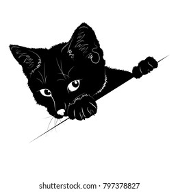 Vector illustration. Ad space. Black silhouette of cat.EPS 8