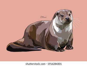 Vector Illustration of adorable Otter