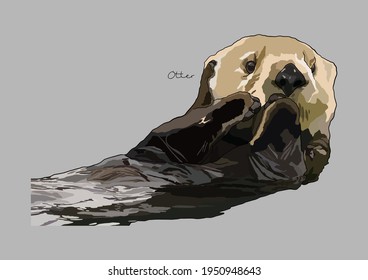 Vector Illustration of adorable Otter	