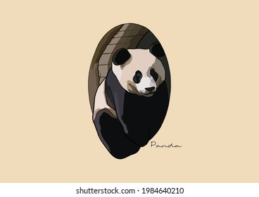 Ilustración vectorial del adorable Panda
