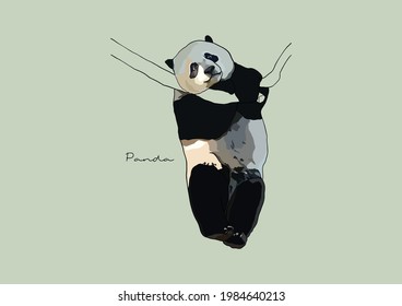 Vektorgrafik der bezaubernden Panda