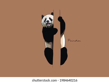 Vector Illustration of  adorable Panda