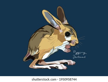 Vector Illustration of adorable Pygmy Jerboas