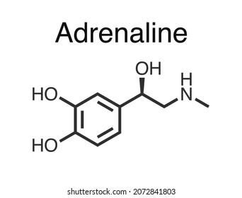 Vector illustration of adrenaline molecule.