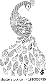 Vector Illustration Adult Coloring Book Page Doodle Abstract Peacock Line Art White Background