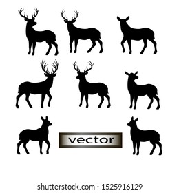 Vector illustration of an adult deer with branched antlers, the DOE and fawn set of contours
