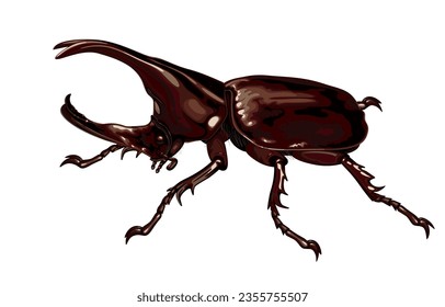 Vector illustration of adult male dynastinae beetles,scarab beetle,siamese rhinoceros beetle,xylotrupes gideon,horns for fighting,isolated on white background.Beautiful asian rhinoceros beetle.