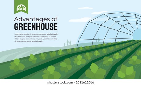 Vector illustration of advantage of greenhouse. Polyhouse cultivation in agriculture. Design template for horticulture or agronomy. Template with greenhouse farming for banner, poster, flyer, layout.