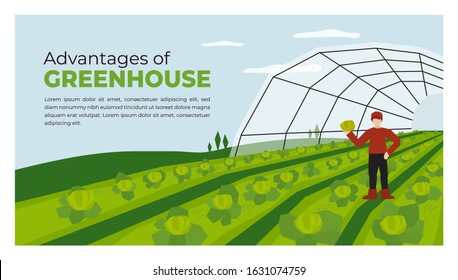 Vector Illustration Of Advantages Of Greenhouse. Farmer With Vegetables In Hand. Farming Plant Cultivation. Design For Agriculture, Horticulture Or Agronomy. Template For Banner, Poster, Flyer, Layout