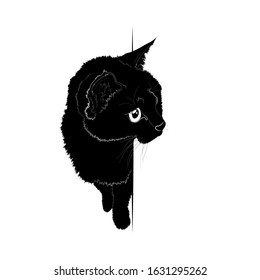Vector illustration. Advertising space. Black silhouette of a domestic cat peeking out, isolated on a white background. EPS 8