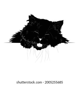 Vector illustration. Advertising space. Black silhouette of a domestic fluffy cat isolated on white background. EPS 8.