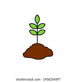 vector illustration of aesthetic botanical icon