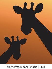vector illustration of africa African animals savanna wild animals silhouette of two giraffes