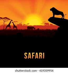 Vector illustration of Africa landscape with African lion standing on rock and sunset background. 
Safari theme
