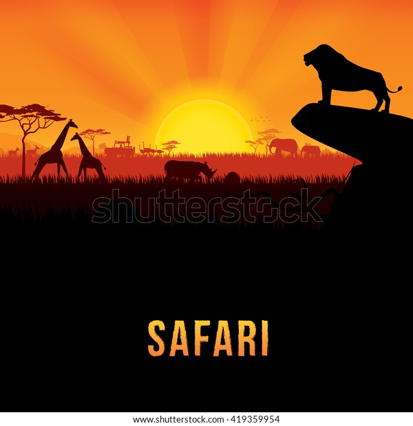Vector\
illustration of Africa landscape with African lion standing on rock\
and sunset background. \
Safari\
theme\
